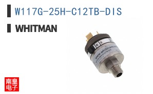 W117G-25H-C12TB-DIS ͼƬ
